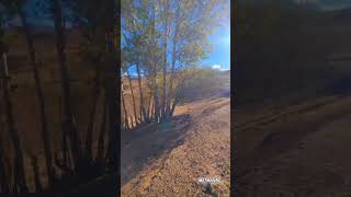 Anısı Olanlar Gelsin: Metmanis Bekler Resimi