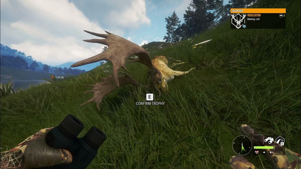 Awesome Diamond Fallow Deer Hunt for Competition! (The Hunter Call of