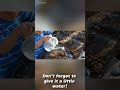 Where do plants come from