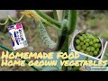 Homemade foods and home grown vegetables (Japanese apricot arrangement) [Japanese CC Option]