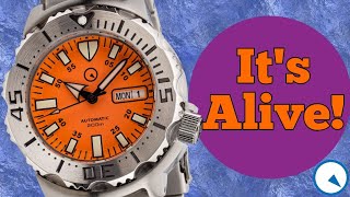 The Orange Monster Lives On... and Bold New Islander Watch Colors