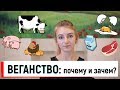 веганство: поводы и причины