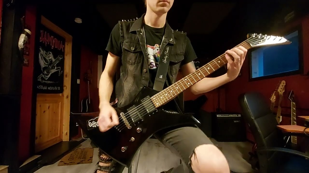 Dead Kennedys - Too drunk to fuck (guitar cover)