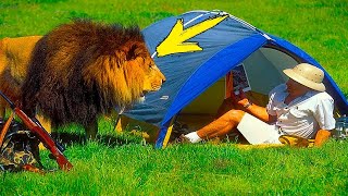 UNUSUAL MEMES COMPILATION V16
