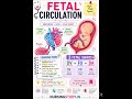 Fetal Circulation Important for exam #medicaleducation #internationallyeducatednurse #nursing
