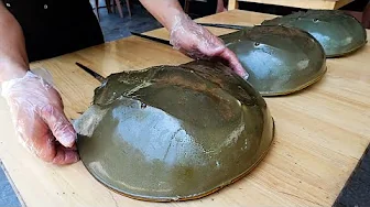 GIANT ALIEN CRAB Vietnamese Street Food