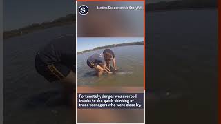 Quick-Thinking Teenagers Rescue Stranded Baby Dolphin