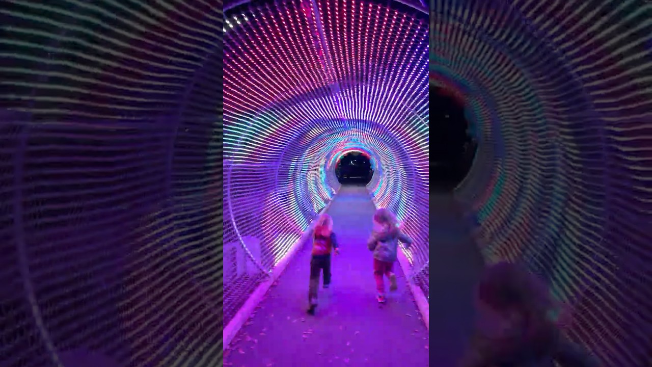 Exploring Fantasy in Lights at Callaway Resort and Gardens 💫! #christmaslights #kidsshorts #shorts