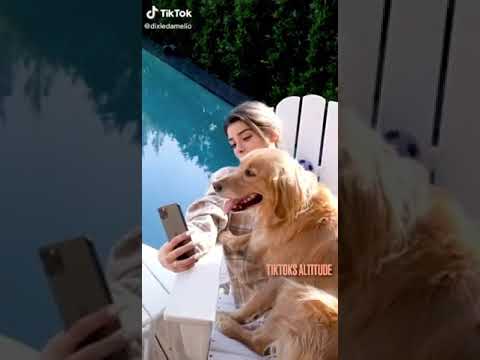 Dixie D Amelio Starts New TikTok Trend Wildchallenge 