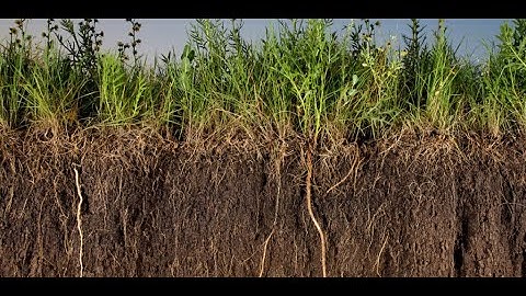 Quantifying Economic and Environmental Benefits of Healthy Soils