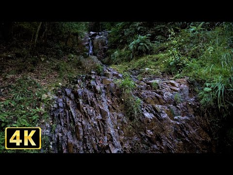 山奥の小さな滝の音でリラックスする2時間20分（4K映像）