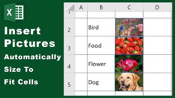 How To Insert Pictures In ms Excel Automatically Size To Fit Cells