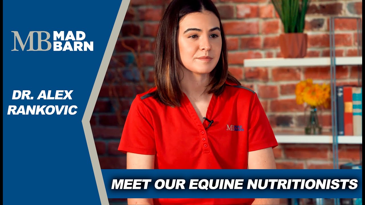 Meet Our Equine Nutritionists: Alex Rankovic - Mad Barn - YouTube