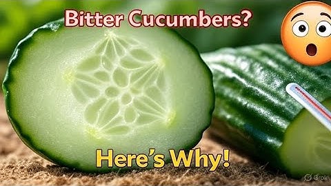 Bitter Cucumbers? Here’s why