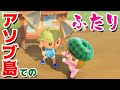 あつまれ どうぶつの森【アナケナ】