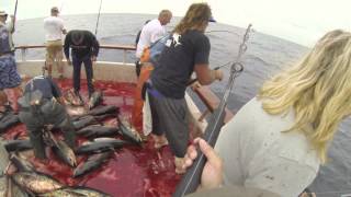 Independence Sportfishing - 7 day - Sept 14-21,2013 FULL VIDEO