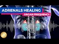 Capture de la vidéo Bioresonance Adrenals Frequency || Heal Adrenal Fatigue Syndrom • Normalize Adrenal Function • Relax