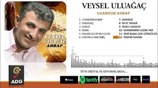 Veysel Uluağaç - Yinemi Sensin Resimi