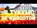 Тукумс.Венок из роз. Латвия