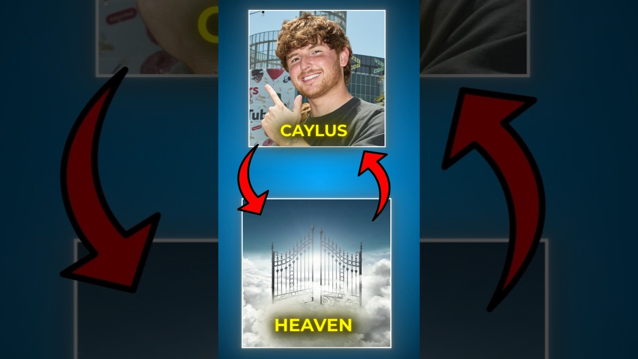 Connecting Caylus to Heaven using six degrees of separation