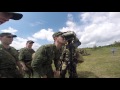 Сборы