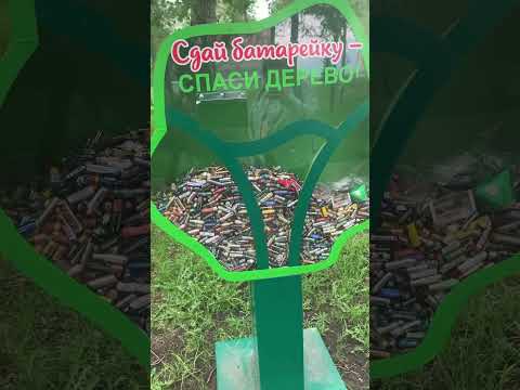 Экология, забота о природе, классное эко решение💚 город #урбанистика #экология #зелёныйгород