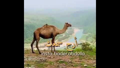 سورة الإخلاص - سعيد الخطيب