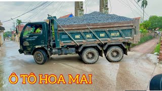 Ô tô tải Hoa Mai chở cát đá đổ ben cực đã mắt | CÔNG NÔNG CHỞ CÁT | Máy xúc hitachi múc cát