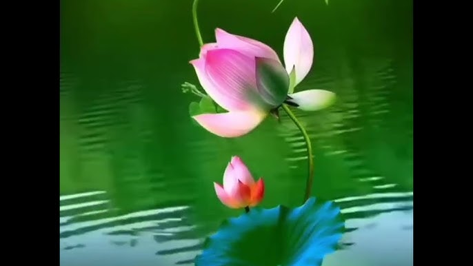 Үлкен пенис