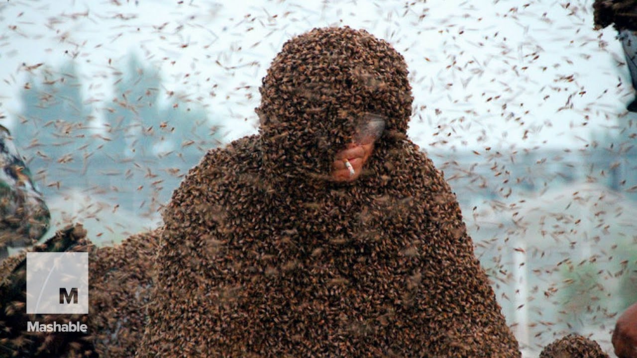A man covered himself with 1.1 million bees to feel alive for the first