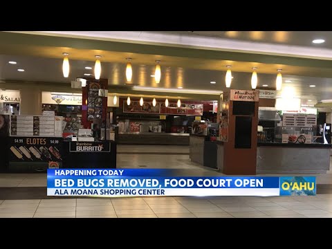 Ala Moana Food Court Reopens After Bed Bug Scare 