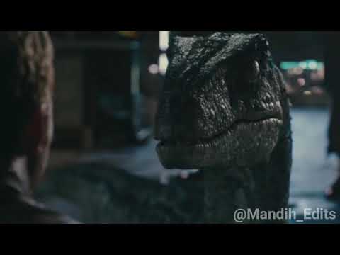 💙Blue💙 || Jurassic World || ~edit~ Unstoppable