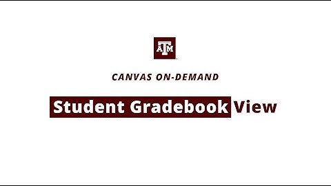 Student Gradebook View