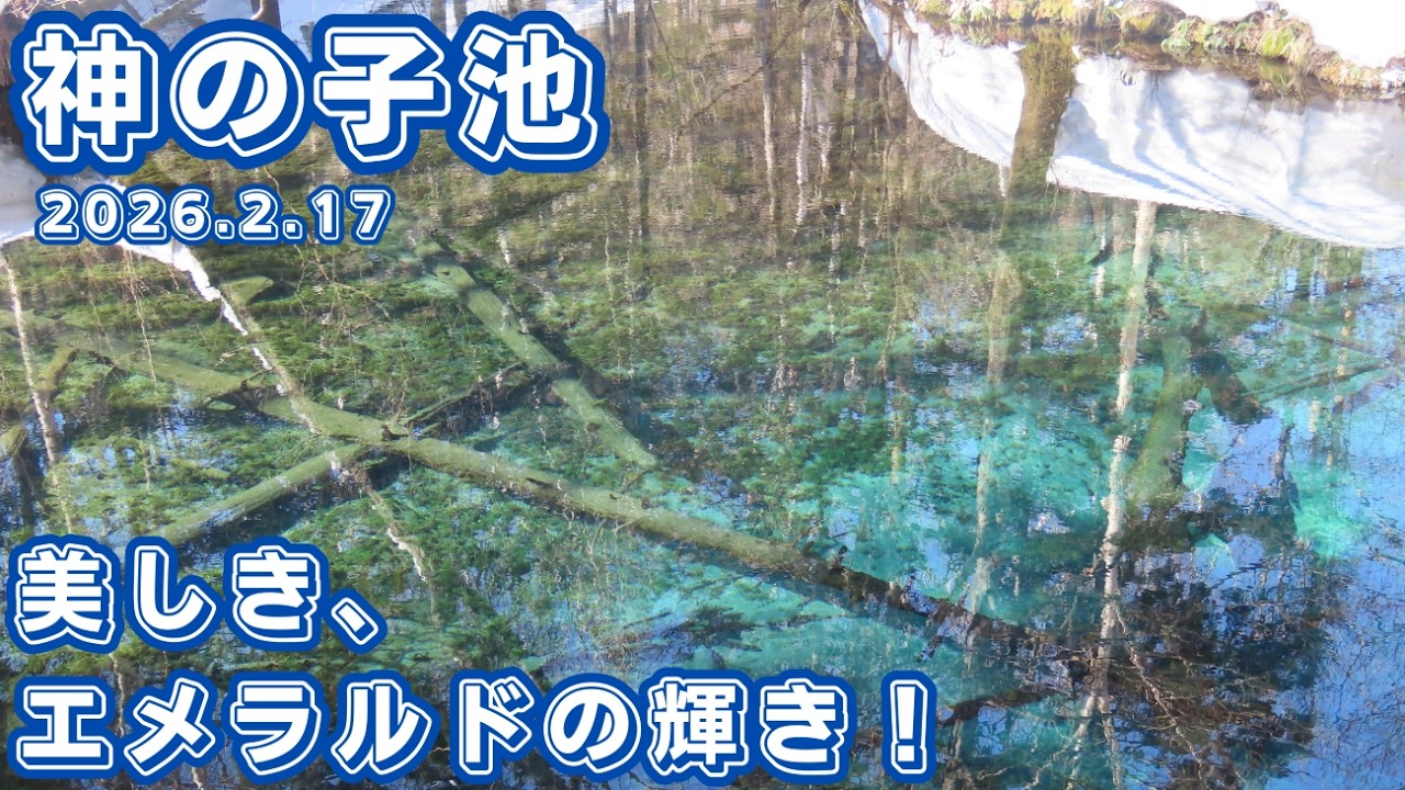 【清里町/神の子池】第385回 美しき、エメラルドの輝き！冬の神の子池・スノーシューハイキング’（2026.2.17）