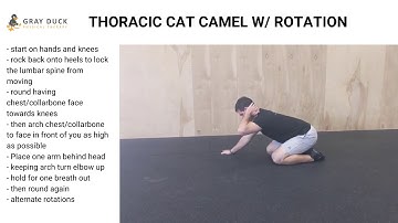 Thoracic Cat Camel with Rotation
