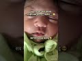 Wait for End 😱 #shorts #viral #trendingshorts