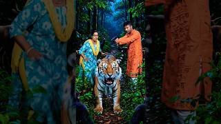 এডভেঞ্চার জঙ্গলে হঠাৎ বাঘের সাথে লড়াই 🐯🐯 #shortvideo #forest #adventuretime