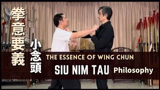 拳意要義小念頭 The Essence of Wing ChunSiu Nim Tau Philosophy
