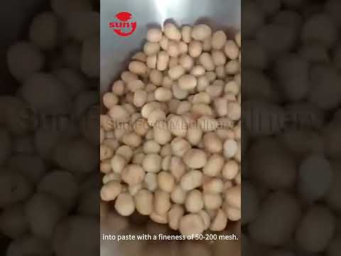 Hazelnut Grinding Machine