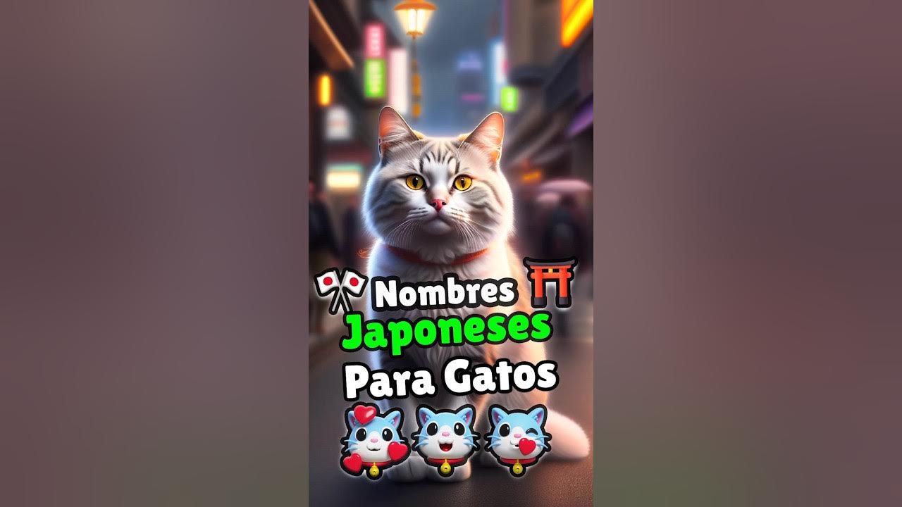 🐱👉 Nombres para Gatos en Japones Bonitos y Originales 🐱🉑 YouTube 🐱👉 Nombres para Gatos en Japones Bonitos y Originales 🐱🉑 YouTube