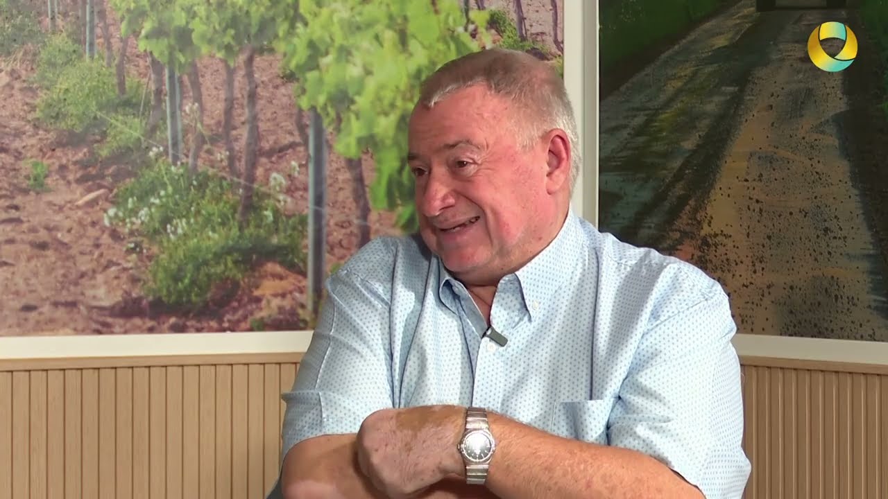 Baix Penedès en primera persona - 7 octubre 2026