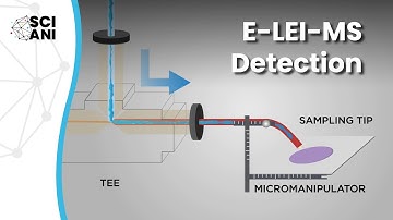 How does real time electron ionization MS detection work?