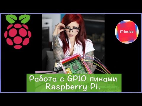 Video: Kalender Perawatan Raspberry Per Bulan. Foto