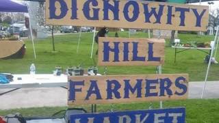 San Antonio plans to transform vacant lots into gardens