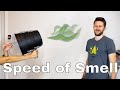 What is the Speed of Smell? Is It Possible to Actually Launch Smell With a Smell Cannon?💨