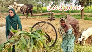 Old Amazing Cultural Village Life of Punjab Pakistan | Unseen Beautiful Village Life in Pakistan