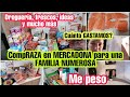 ComprAZA en MERCADONA para una FAMILIA NUMEROSA/Cuánto GASTAMOS?/ DROGUERÍA, FRESCOS, IDEAS #gasto