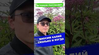 КАЛИЙНЫЕ УДОБРЕНИЯ
