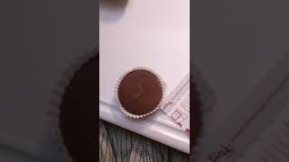 Download Lagu product review: Justin's dark chocolate organic peanut butter cups!!! MP3