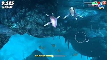 Whitetip Reef Shark Gameplay part # 1 - Hungry Shark World
